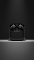 Matte Black True Wireless Earbuds